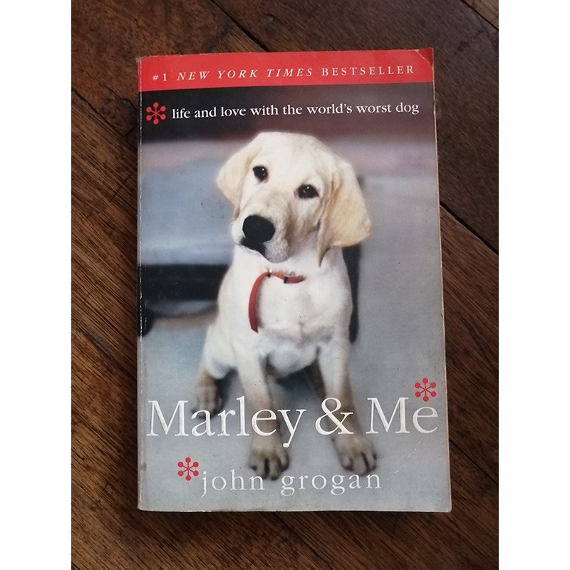 worst dog in the world