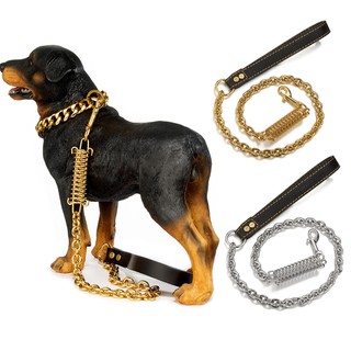 pitbull chain leash