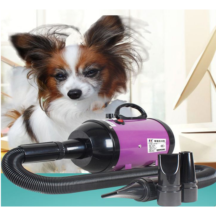 dog air blower