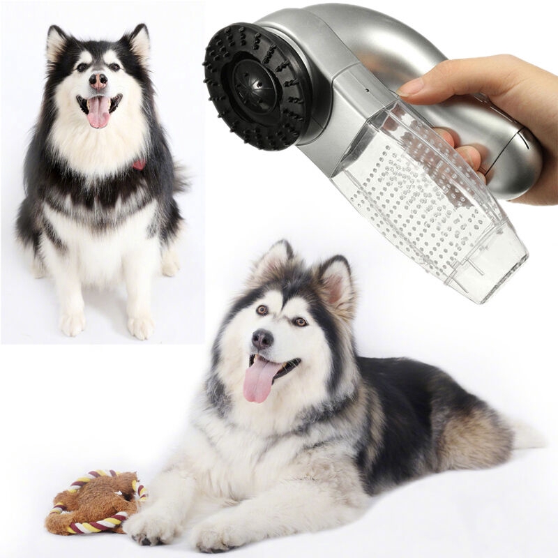 vacuum grooming brush for dogs