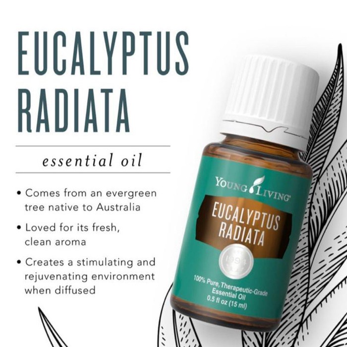 young-living-eucalyptus-radiata-essential-oil-15ml-shopee-philippines