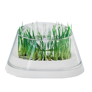 Bochy net MOBOLI Cat Grass Bowl drinking water pot cat bowl anti-knock protection cervical pet suppl #4