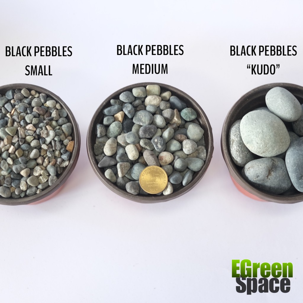 BLACK RIVER PEBBLES STONE - 1 KILO | Shopee Philippines