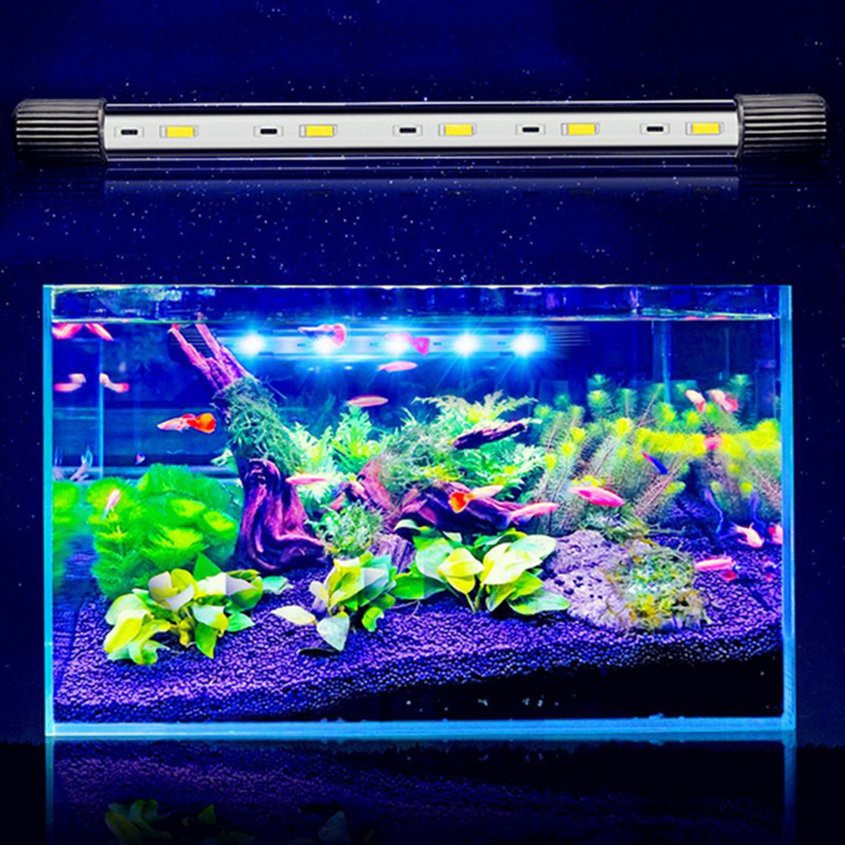 aquarium led light price