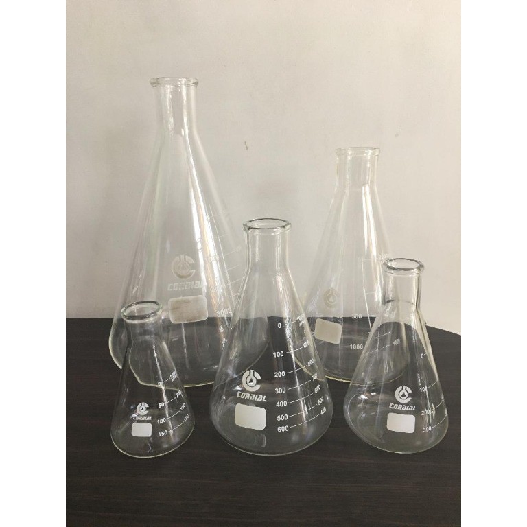 WANTLAB ERLENMEYER FLASK BOROSILICATE GLASS FOR LABORATORY ( SMALL