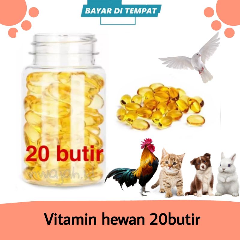 Cat Fish Oil 20 VITAMIN Grains For Animals Cats Shopee Philippines