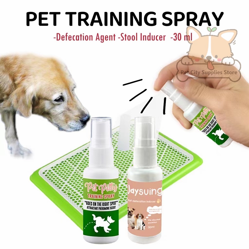 Pet City Dog Spray Inducer Dog Toilet Training Puppy Positioning ...