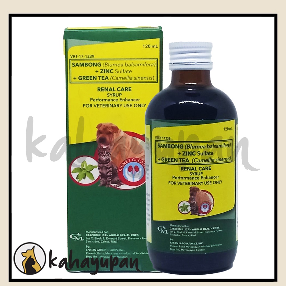 Renal Care Supplement Syrup (Sambong+Zinc Sulfate+Green Tea) 120ml