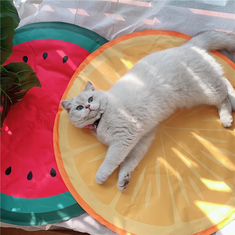 watermelon cooling mat