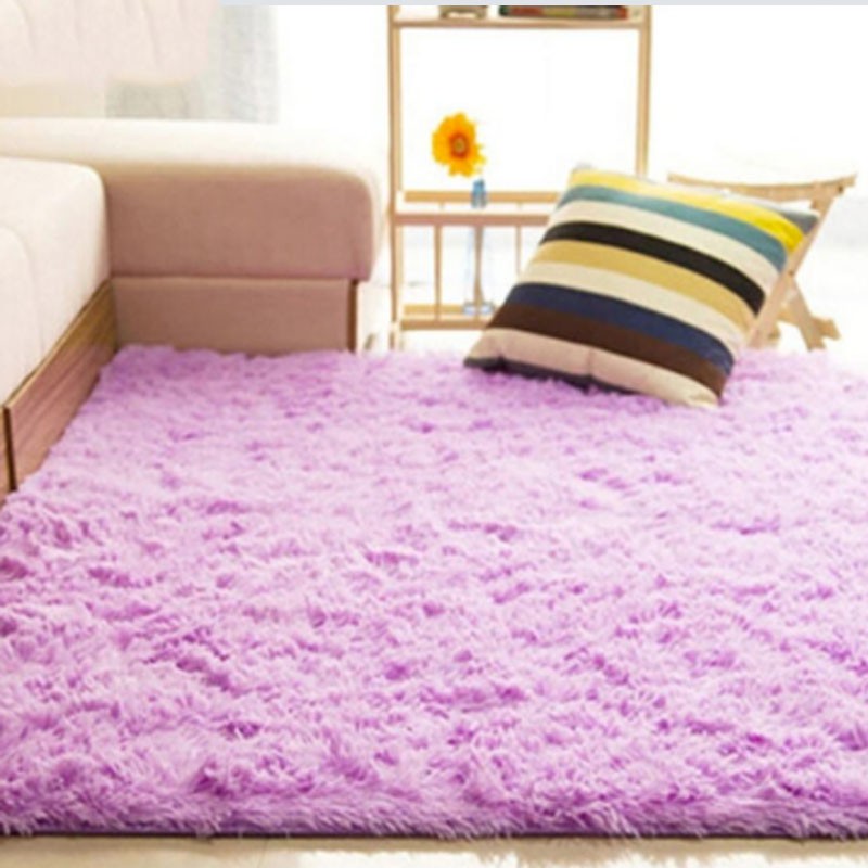 Soft Fluffy Rugs Anti Skid Shaggy Floor Mats Indoor Bedroom Carpet 80 X 120 Cm