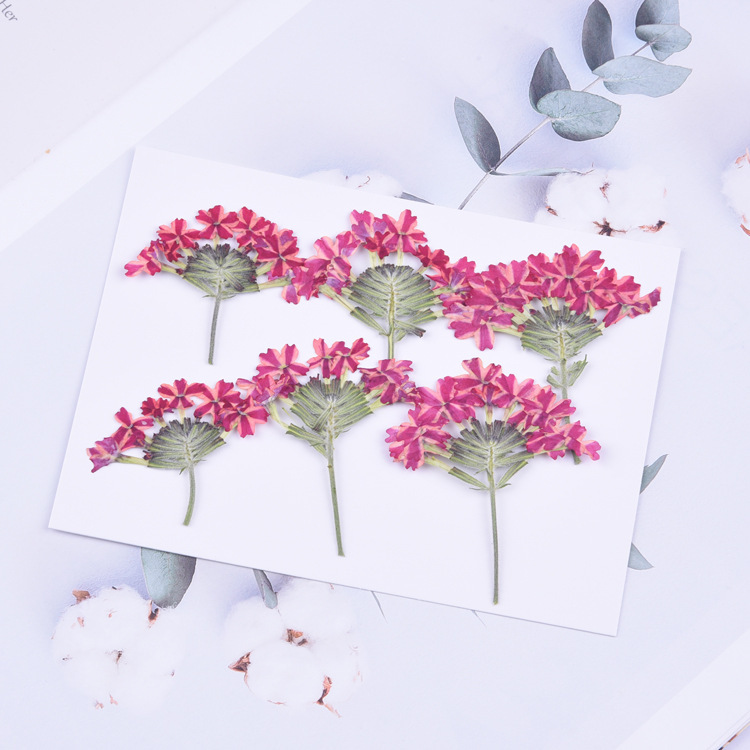 30pcs with branches beautiful cherry blossom embossed diy dried flower phone case sticker diy