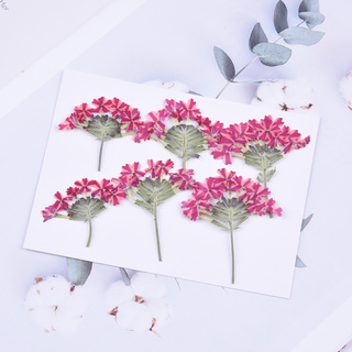 30pcs with branches beautiful cherry blossom embossed diy dried flower phone case sticker diy #1