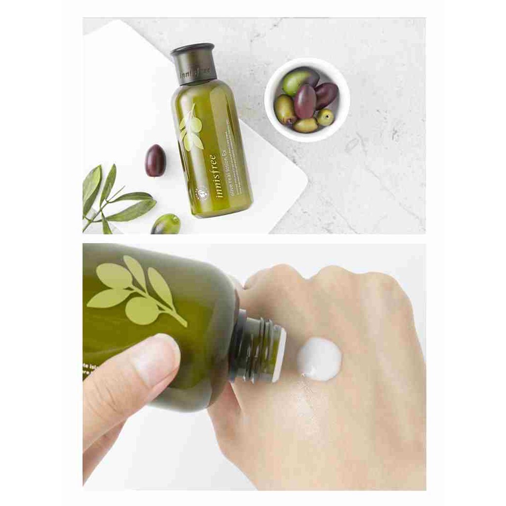 innisfree olive set