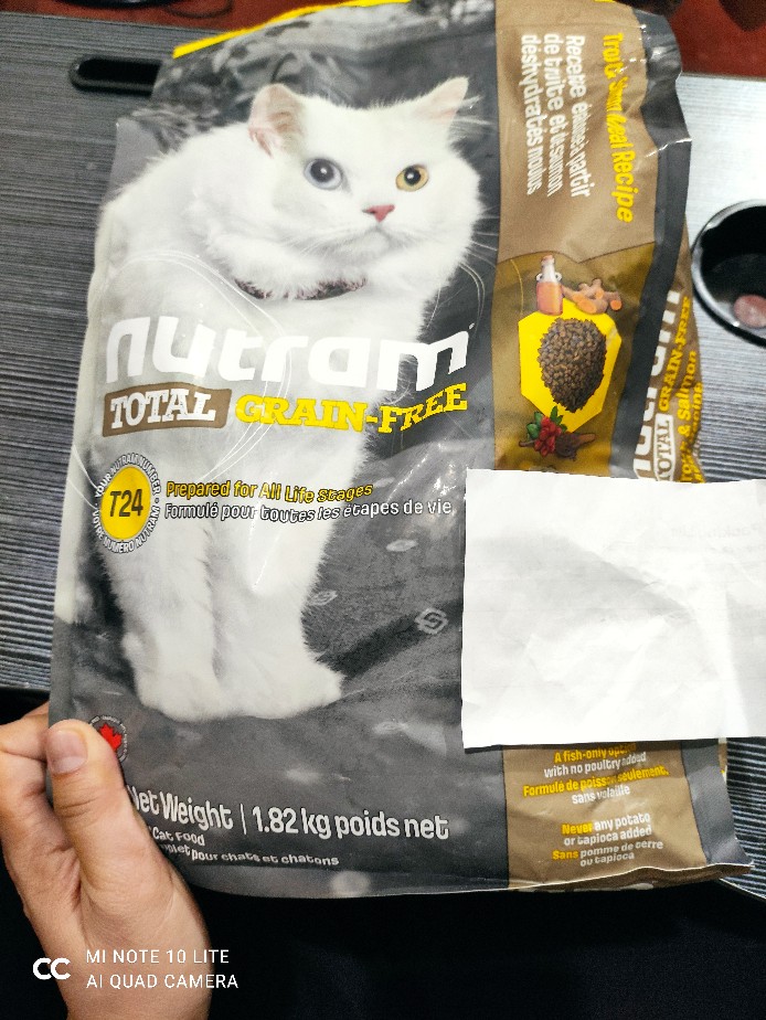 free kittens quad cities