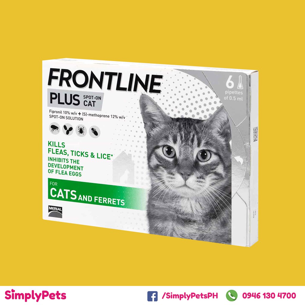 flea treatment for cats