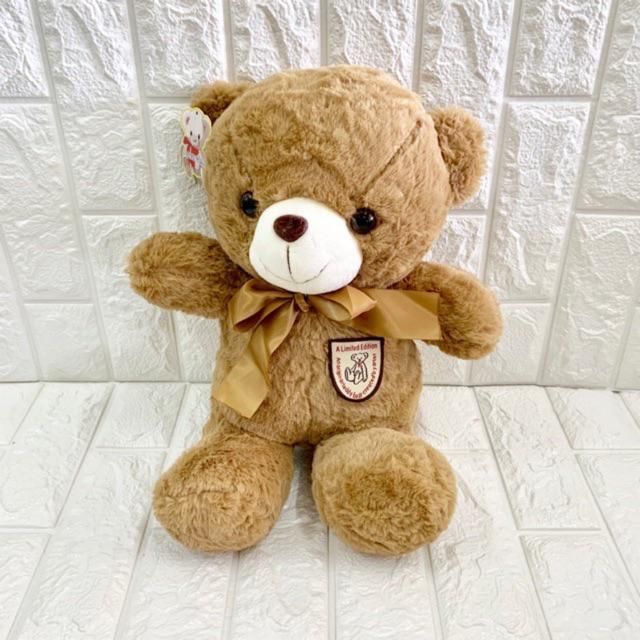 shopee teddy bear