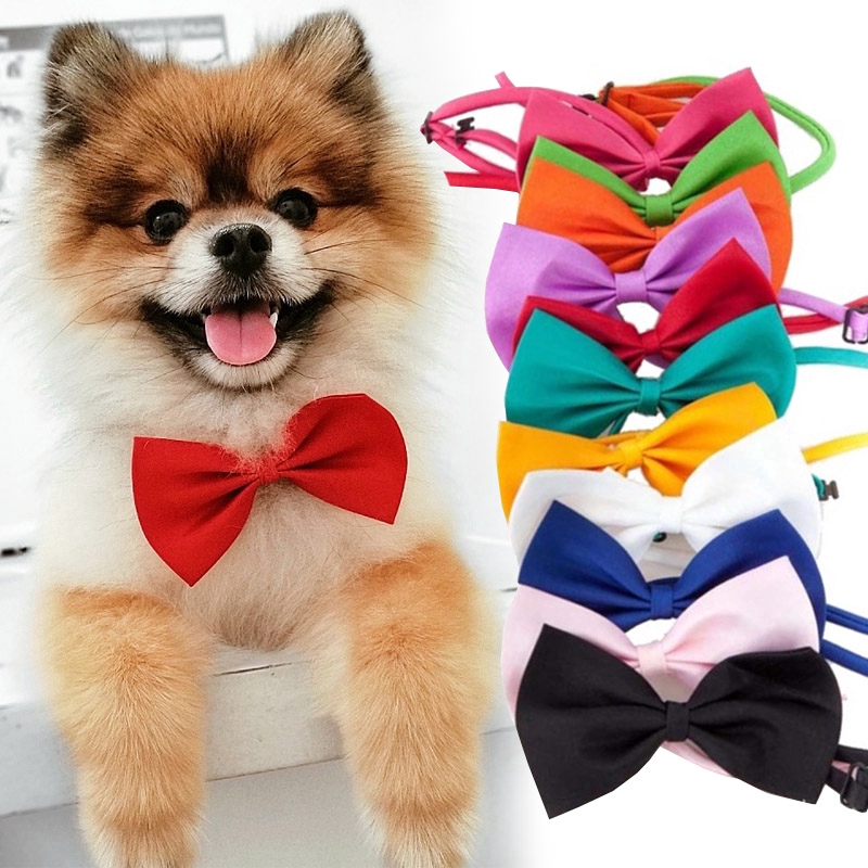 puppy bow tie
