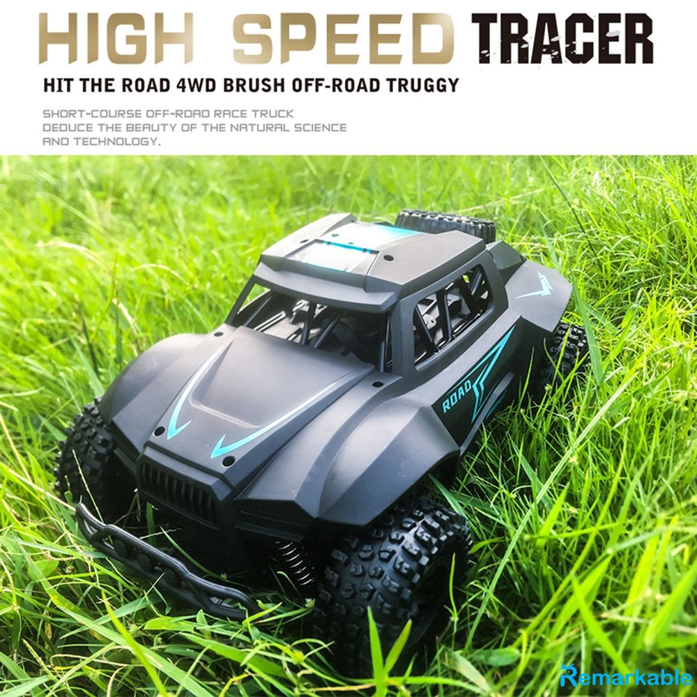 remote control car for grass