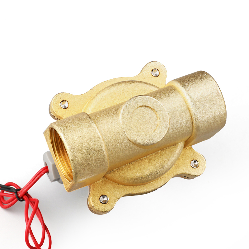 Two Way Electric Solenoid Valve Normally Closed G1 1/4 1/2 G2 220V 12V 24V 110V For Water Air DN25 32 40 50