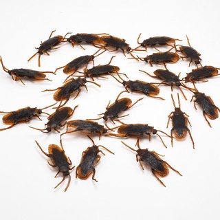 10Pcs/lot simulation fake rubber cockroach  funny toy special lifelike model L_D 