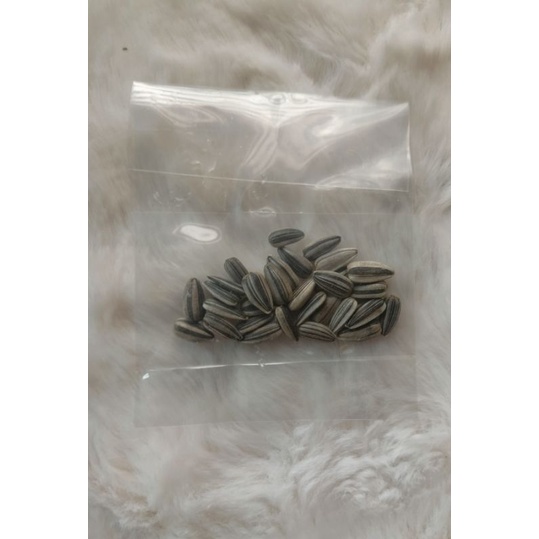 Giant grey striped sunflower seeds 30 pcs per pack Shopee Philippines