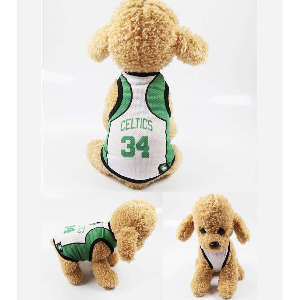 celtics dog jersey