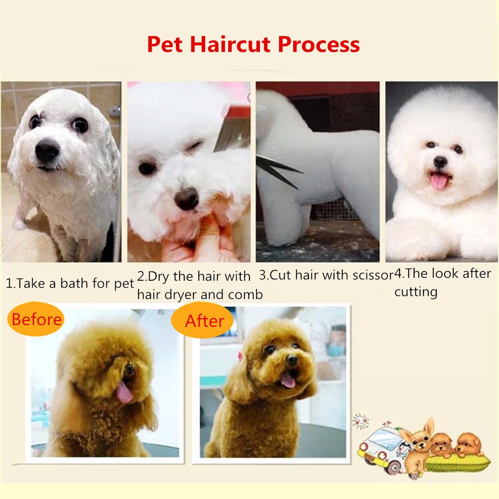 cheap pet haircuts