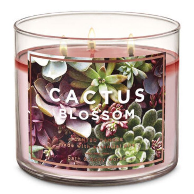 cactus blossom bath and body works candle