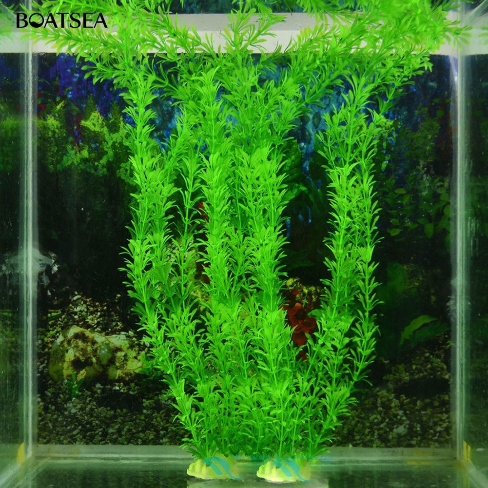 critter care mobile vet