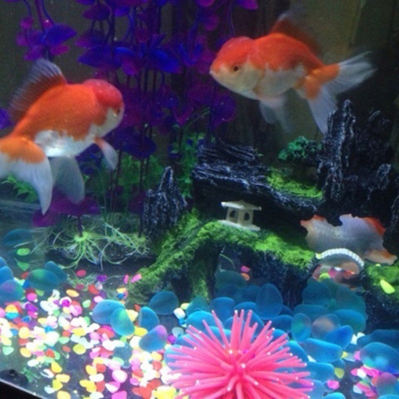 Tank Blue Pebbles Aquarium Rock 10pcs Glow in The Dark Stones Fish