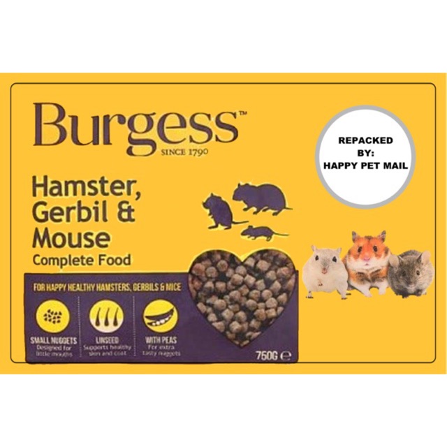 burgess hamster