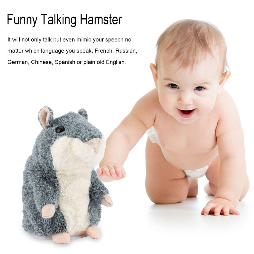 recording hamster