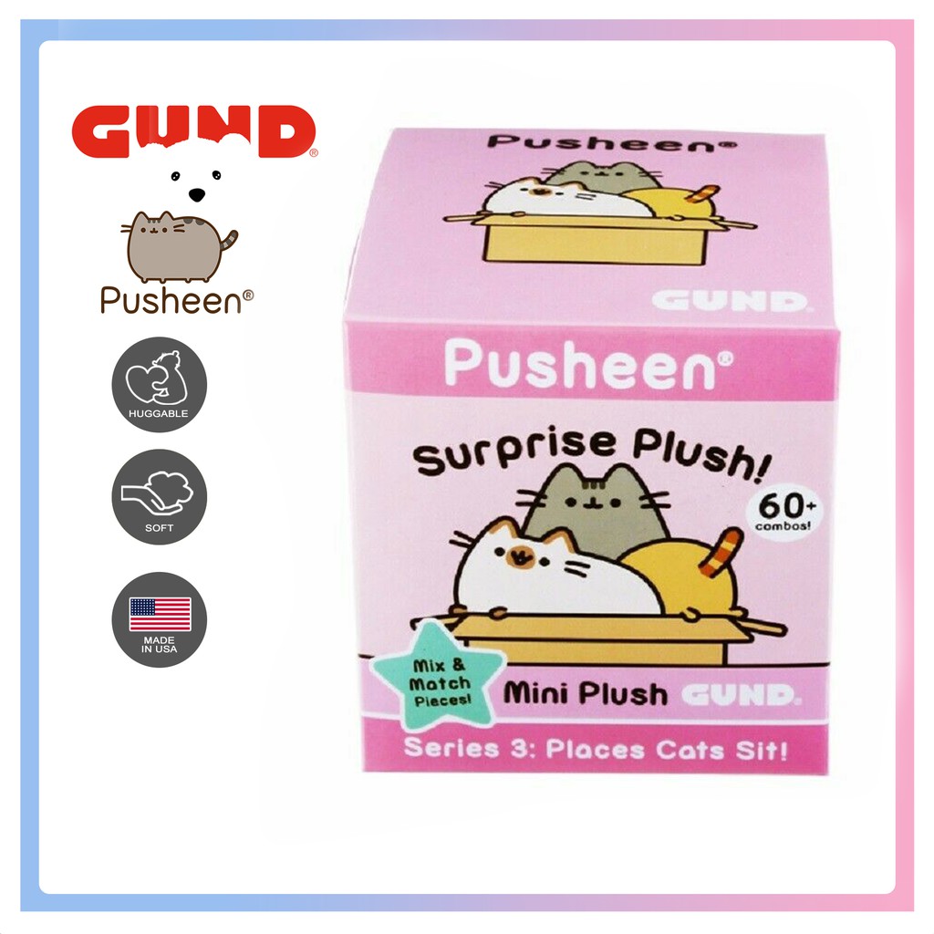 pusheen places cats sit