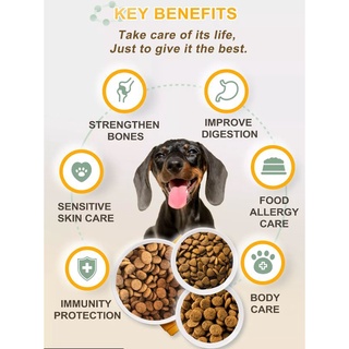 MONGE SPECIAL DOG PUPPY ( 1KG ) LAMB & RICE DRY FOOD Kibble Pet Diet Paw Puppy Coat Fur Skin Coat #6