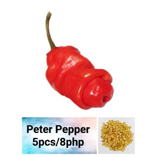 Peter Pepper Seeds (5pcs)