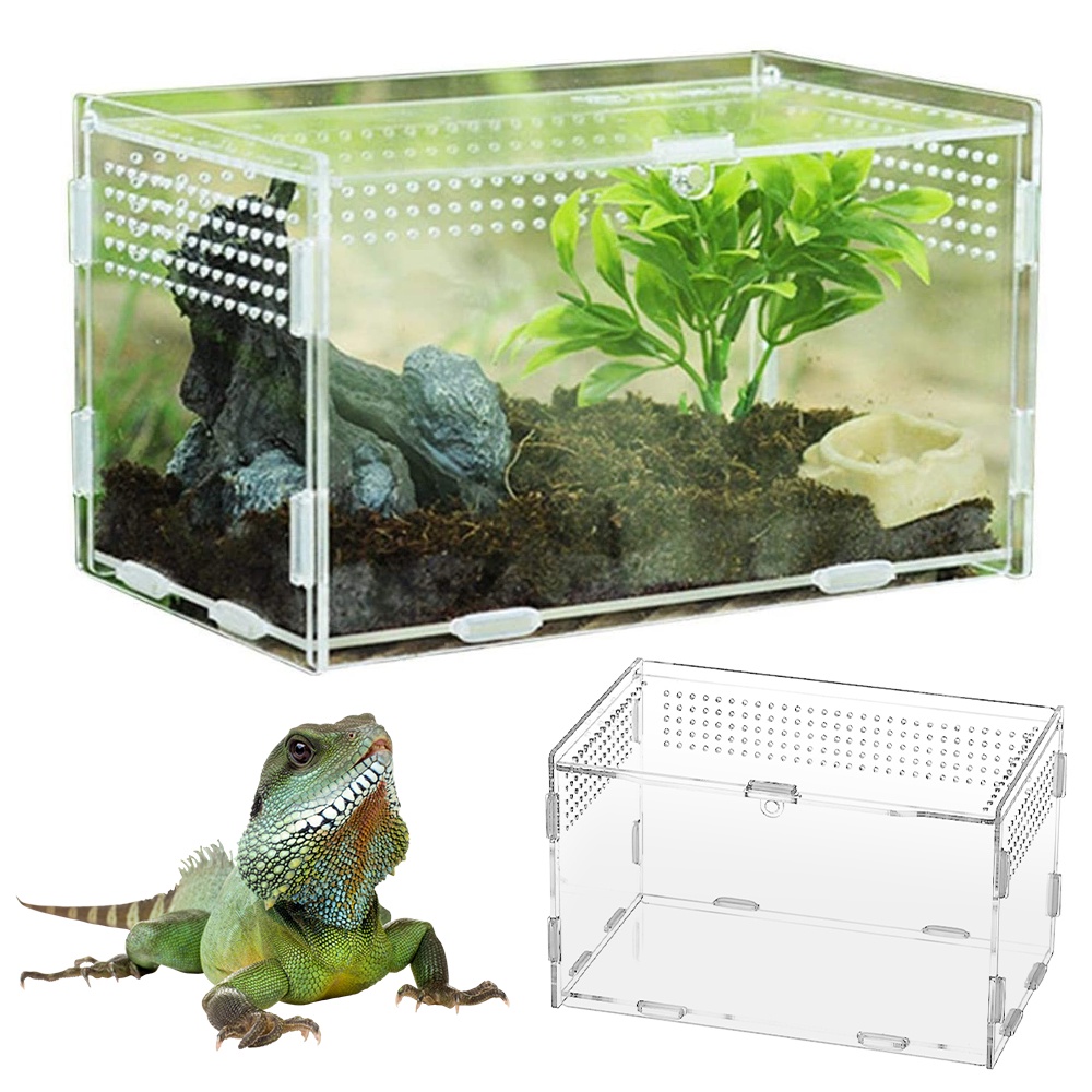 Transparent Acrylic Reptile Box For Spiders Tortoise Lizard Breeding ...