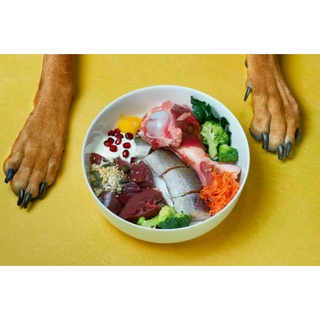 MONGE SPECIAL DOG PUPPY ( 1KG ) LAMB & RICE DRY FOOD Kibble Pet Diet Paw Puppy Coat Fur Skin Coat #8