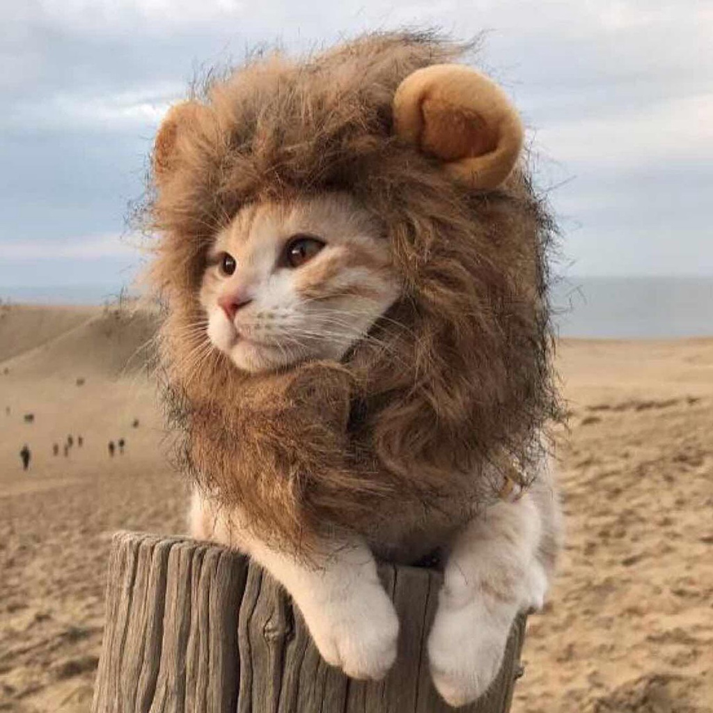 Pets Purrfect Cat Lion Tiger Ears Hat Pet Fashion Accessories Comel Kucing Topi Costumes 猫咪老虎狮子头套 #6