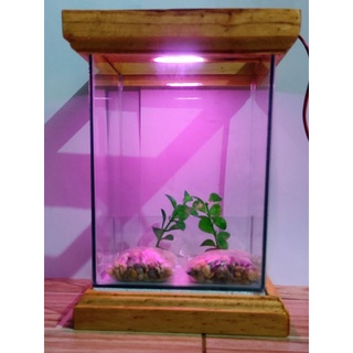 Mini Aquarium with LED Light for 6x6x8 betta tank