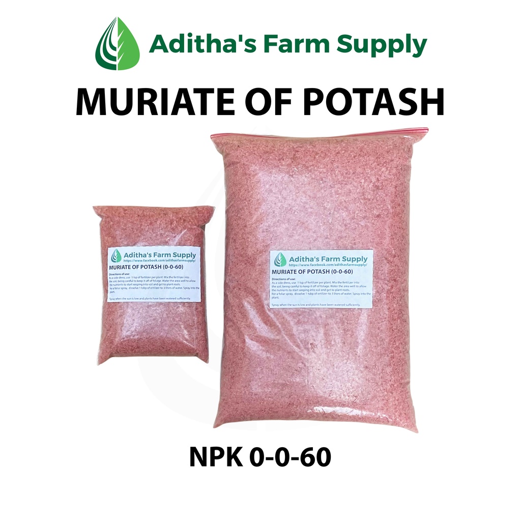 Muriate of Potash Fertilizer (NPK 0060) 200 grams/1 kilo by Aditha's Shopee Philippines