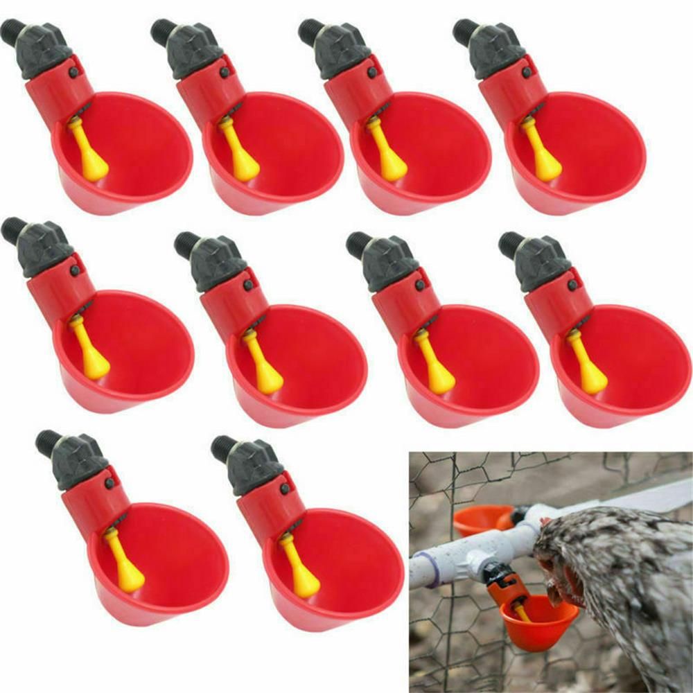 DAPHNE 10/20 Pcs Hot new Plastic Automatic Drinker Quail Plastic Poultry Water Drinking Cups Bird Chicken Coop Feed Farm Fowl Bowl Automatic Chicken Hen #5