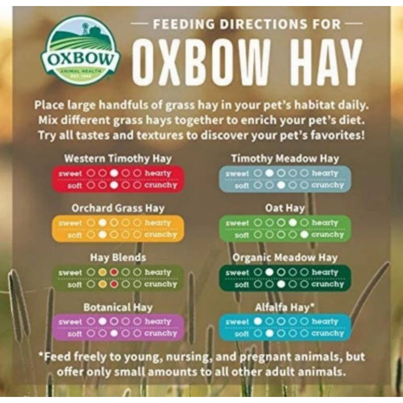 Grass Food Rabbit And Small Animals Oxbow Orchard Grass Hay Packaging 200gr #4
