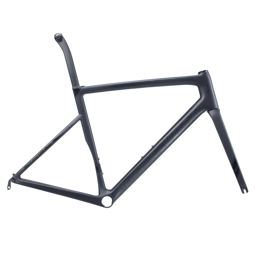 lexon carbon frame