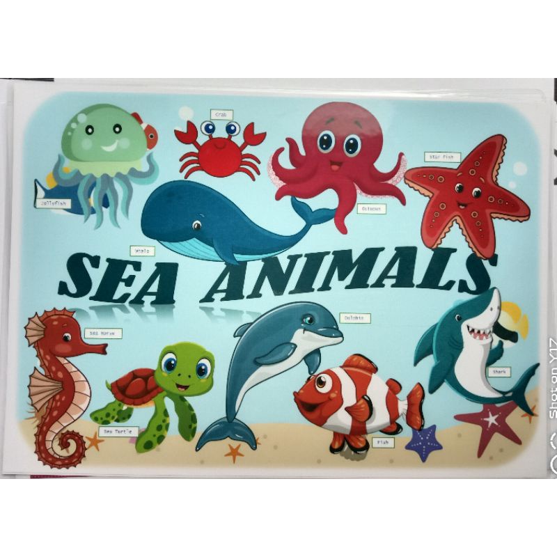 Laminated Chart (Air Animals, Sea Animals & Land Animals) | Shopee