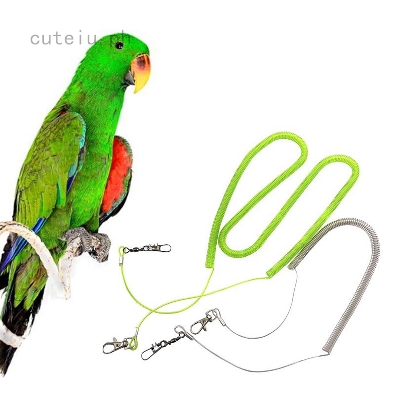 parrot leg leash