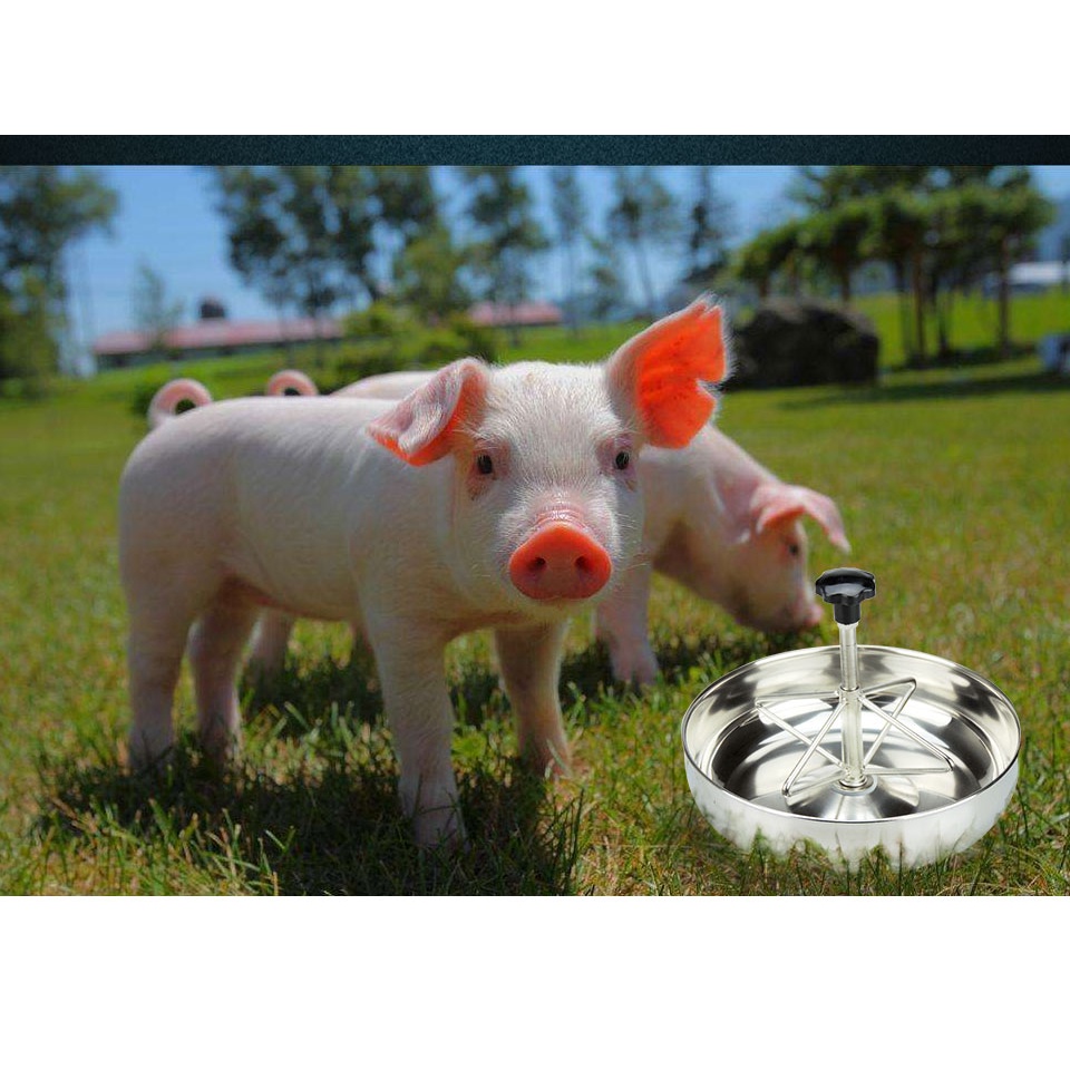Piglet Feeding Sow Milk Trough Food Tray Pig Feeder Bowl Livestock Fodder Stainless Steel #7