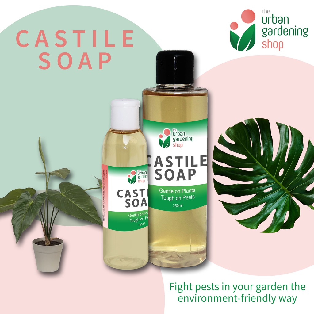 The Urban Gardening Shop Liquid Castile Soap for Plants All Natural Pest Management 100ml