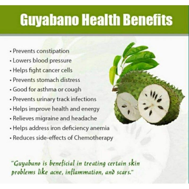 Guyabano Leaves Tea Benefits