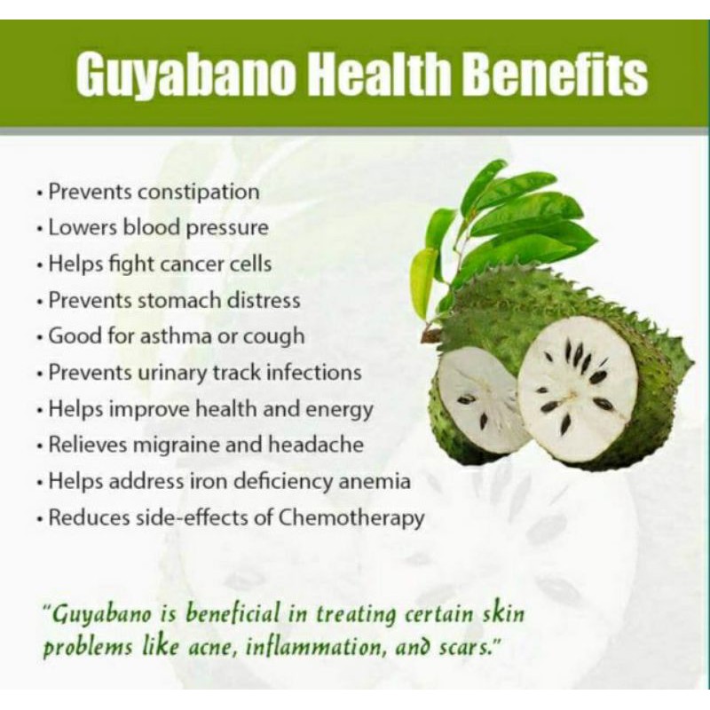 Guyabano Tea Kills Cancer Cell Anti Cancer Tea Shopee Philippines