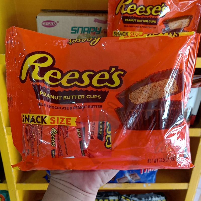 Reeses Snack Size Milkchocolates | Shopee Philippines